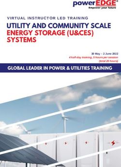 UTILITY AND COMMUNITY SCALE ENERGY STORAGE (U&CES) SYSTEMS - VIRTUAL ...