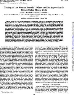 Cloning of the Human Keratin 18 Gene and Its Expression in Nonepithelial Mouse Cells