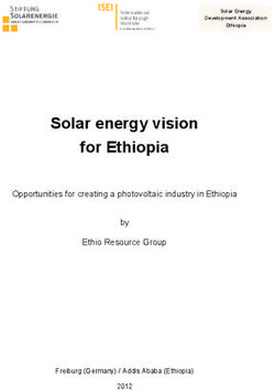 Solar energy vision for Ethiopia - Opportunities for creating a photovoltaic industry in Ethiopia by Ethio Resource Group