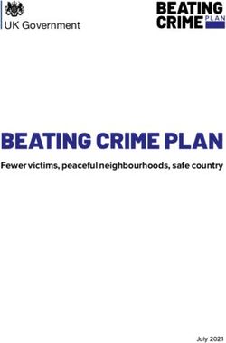 BEATING CRIME PLAN - BEATING CRIME - Fewer victims, peaceful neighbourhoods, safe country - GOV.UK