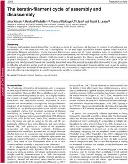 The keratin-filament cycle of assembly and disassembly