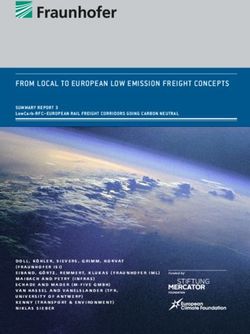 FROM LOCAL TO EUROPEAN LOW EMISSION FREIGHT CONCEPTS - Fraunhofer ISI