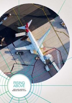 RISING ABOVE - Adelaide Airport