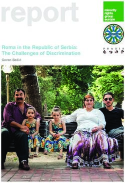 Report Roma in the Republic of Serbia: The Challenges of Discrimination - Goran Bašić
