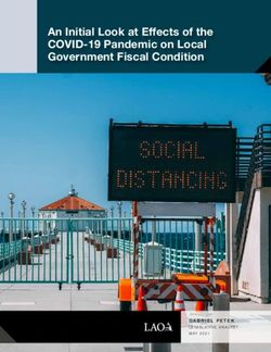 An Initial Look at Effects of the COVID-19 Pandemic on Local Government Fiscal Condition