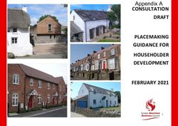Appendix A CONSULTATION DRAFT PLACEMAKING GUIDANCE FOR HOUSEHOLDER DEVELOPMENT FEBRUARY 2021