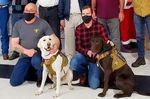 CANINES ASSISTING SERVICE HEROES - vfw delaware