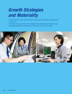 Growth Strategies and Materiality - ANA