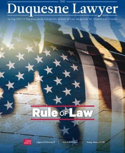 Duquesne Lawyer - Rule OF Law