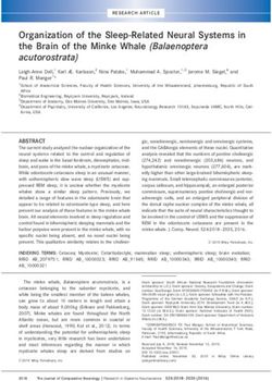 Organization of the Sleep-Related Neural Systems in the Brain of the Minke Whale (Balaenoptera acutorostrata)