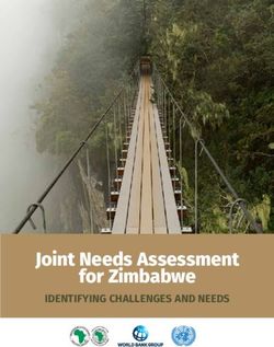 Joint Needs Assessment for Zimbabwe - IDENTIFYING CHALLENGES AND NEEDS - African Development Bank