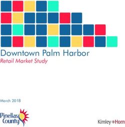 Downtown Palm Harbor Retail Market Study - March 2018 - Pinellas County