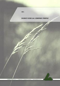 DVOKUT-ECRO Ltd. COMPANY PROFILE 2021.