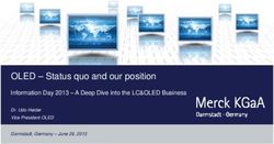 OLED - Status quo and our position - Information Day 2013 - A Deep Dive into the LC&OLED Business - EMD Group