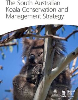 The South Australian Koala Conservation and Management Strategy