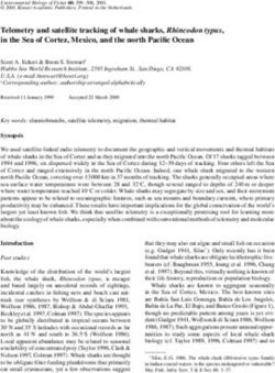 Telemetry and satellite tracking of whale sharks, Rhincodon typus, in the Sea of Cortez, Mexico, and the north Pacific Ocean