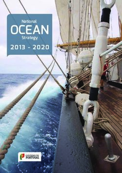 OCEAN 2013 - 2020 National Strategy