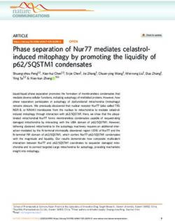 Phase Separation Of Nur77 Mediates Celastrol-induced Mitophagy By ...