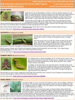 SILVER Y MOTH - Maine.gov