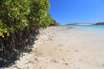 Management planning for the Dampier Archipelago