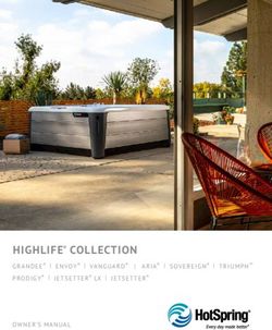 HIGHLIFE COLLECTION PRODIGY | JETSETTER - Hot Spring Spas