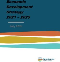 Economic Development Strategy 2021 2025 - July 2021 - Mackenzie ...