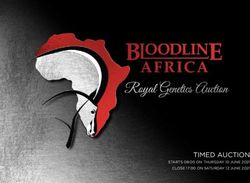 TIMED AUCTION STARTS 08:00 ON THURSDAY 10 JUNE 2021 CLOSE 17:00 ON SATURDAY 12 JUNE 2021