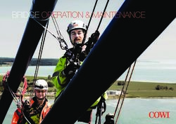 BRIDGE OPERATION & MAINTENANCE - COWI