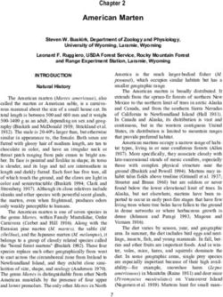 American Marten - USDA Forest Service