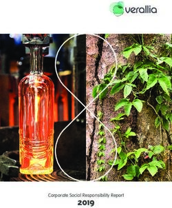 2019 Corporate Social Responsibility Report - Verallia