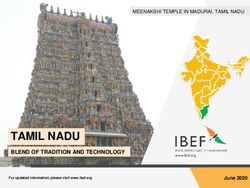 TAMIL NADU BLEND OF TRADITION AND TECHNOLOGY - MEENAKSHI TEMPLE IN MADURAI, TAMIL NADU - IBEF ...