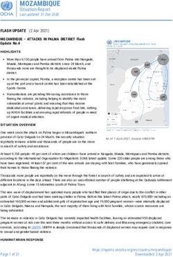 MOZAMBIQUE Situation Report Last updated: 31 Dec 2020