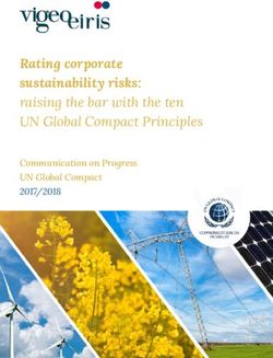 Communication on Progress UN Global Compact 2017/2018 - Vigeo Eiris
