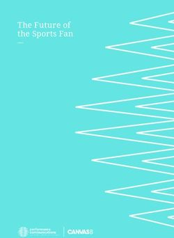 The Future of the Sports Fan