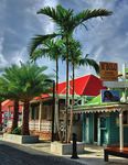 Alumni Association - Caribbean Paradises & Extraordinary Vistas Round-Trip Sint Maarten Aboard Sea Cloud - Vanderbilt University