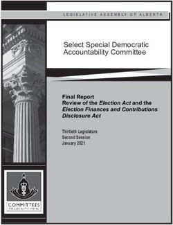 Select Special Democratic Accountability Committee