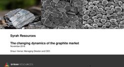 Syrah Resources The changing dynamics of the graphite market - November 2018 Shaun Verner, Managing Director and CEO