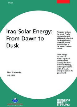 Iraq Solar Energy: From Dawn to Dusk - Bibliothek der Friedrich-Ebert-Stiftung