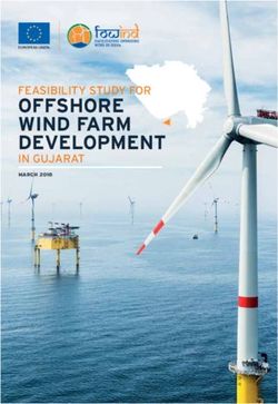 OFFSHORE WIND FARM DEVELOPMENT - FEASIBILITY STUDY FOR - GWEC