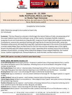 India: Red Pandas, Rhinos, and Tigers w/ Kanha Tiger Extension