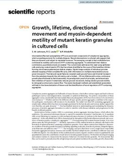 Growth, lifetime, directional movement and myosin dependent motility of mutant keratin granules in cultured cells