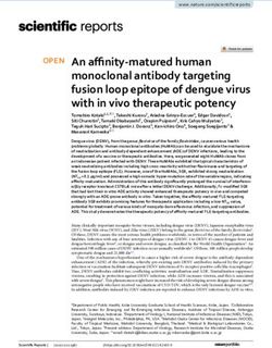 An affinity matured human monoclonal antibody targeting fusion loop epitope of dengue virus with in vivo therapeutic potency - Nature