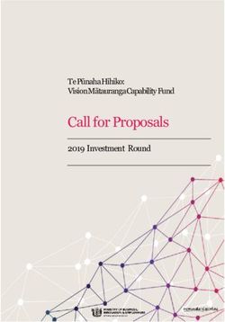 Call for Proposals 2019 Investment Round - Te Pūnaha Hihiko: Vision Mātauranga Capability Fund - MBIE