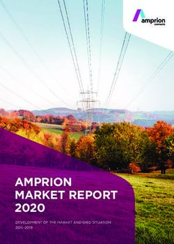 AMPRION MARKET REPORT 2020 - DEVELOPMENT OF THE MARKET AND GRID SITUATION 2015-2019