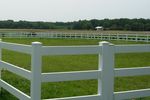 Properly Managing Manure for Horses