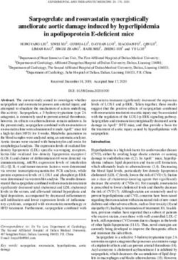 Sarpogrelate and rosuvastatin synergistically ameliorate aortic damage induced by hyperlipidemia in apolipoprotein E deficient mice