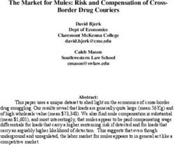 The Market for Mules: Risk and Compensation of Cross-Border Drug Couriers
