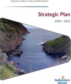 Strategic Plan 2020 2023 - Tourism, Culture, Arts and Recreation - Government of Newfoundland and Labrador