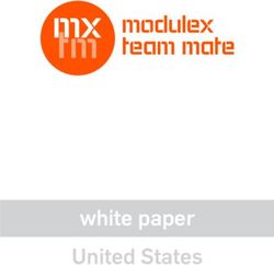 White paper United States - Modulex Americas