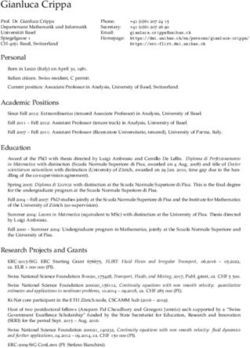 Gianluca Crippa - Departement Mathematik ...